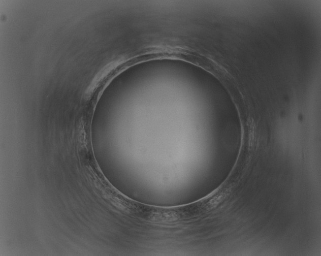 X0000053071215200507181617