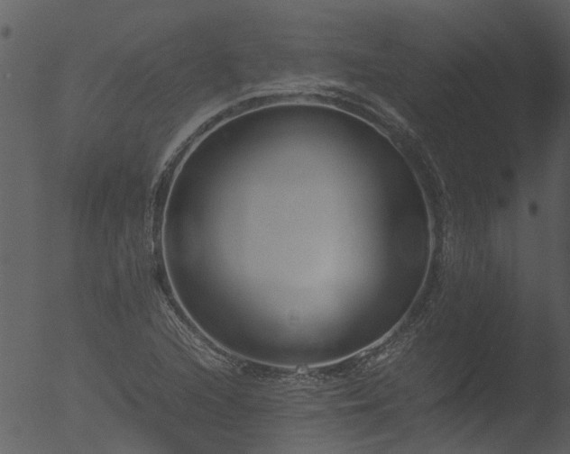 X0000053071216200507181617