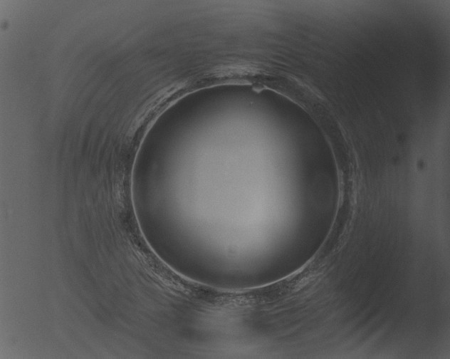 X0000053071217200507181617