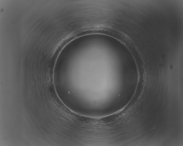 X0000053071218200507181617