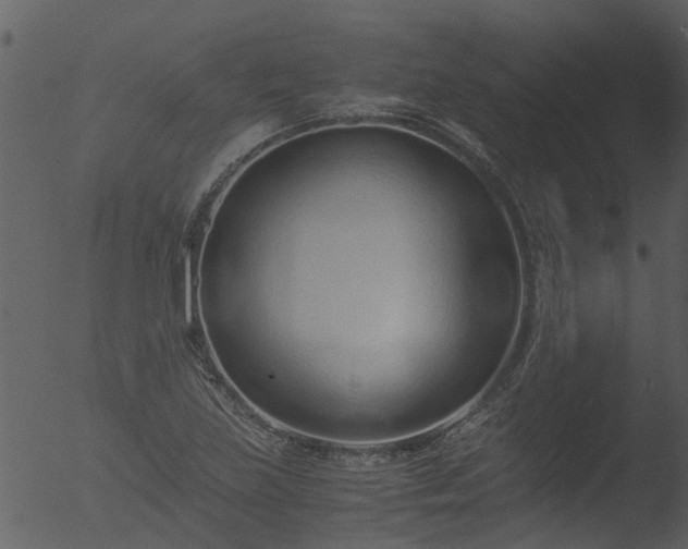 X0000053071219200507181617