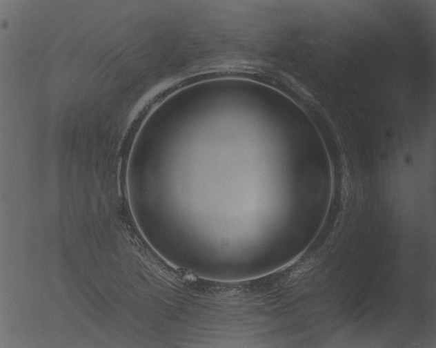 X0000053071222200507181617