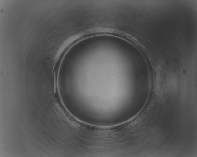 X0000053071223200507181617