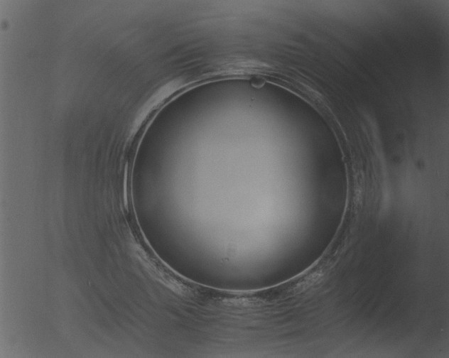 X0000053071227200507181617