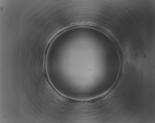 X0000053071228200507181617