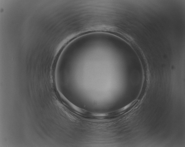 X0000053071230200507181618