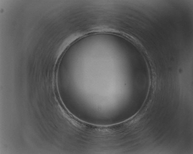 X0000053071231200507181618