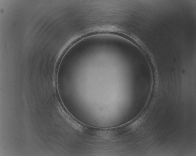 X0000053071232200507181618