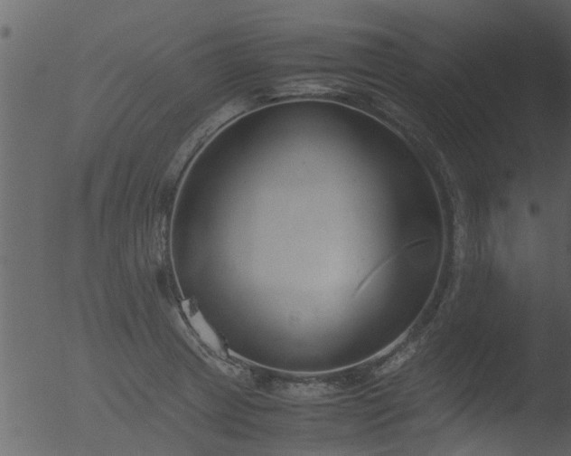 X0000053071233200507181618