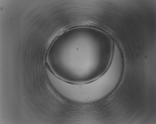 X0000053071234200507181618