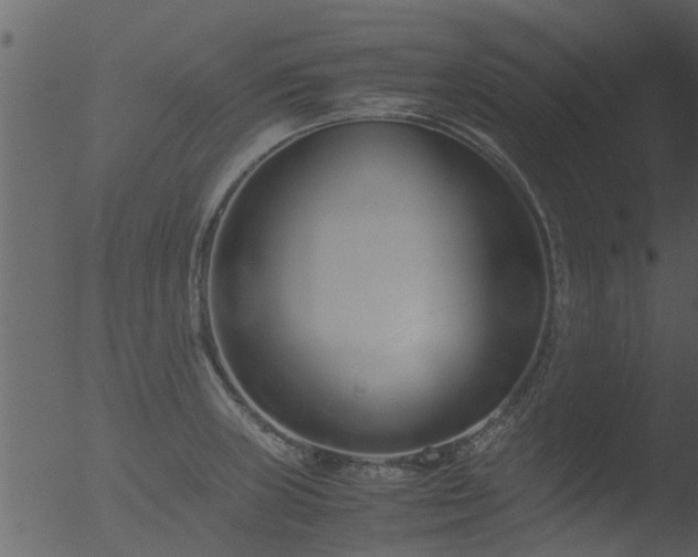 X0000053071235200507181618