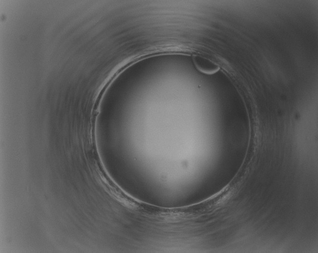 X0000053071236200507181618