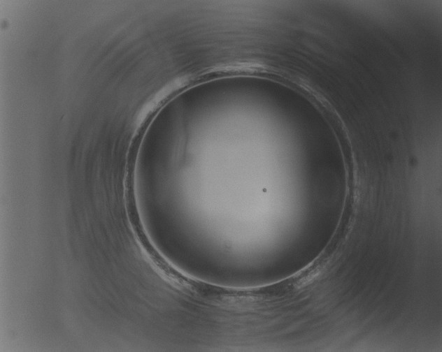 X0000053071237200507181618