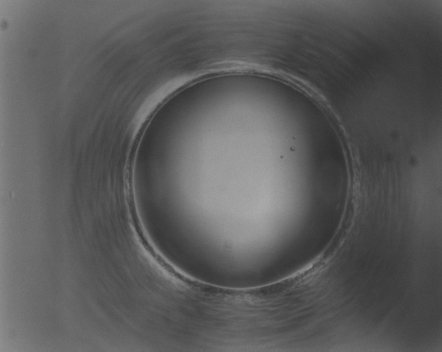 X0000053071239200507181618