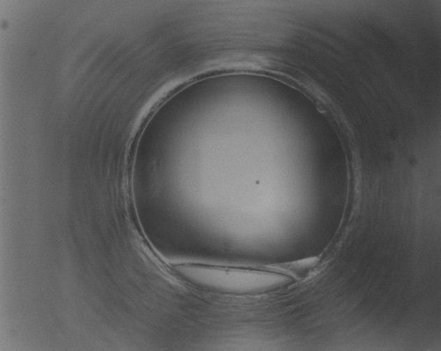 X0000053071240200507181618