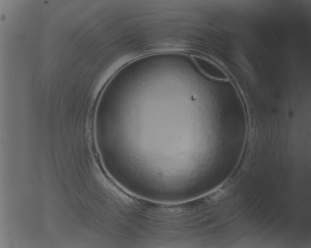 X0000053071243200507181618