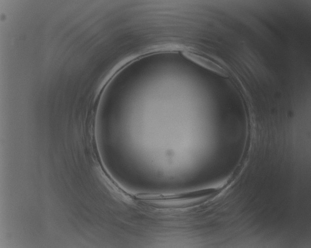 X0000053071244200507181618