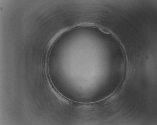 X0000053071245200507181618