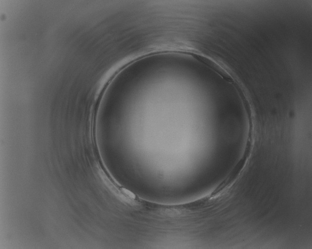 X0000053071246200507181618