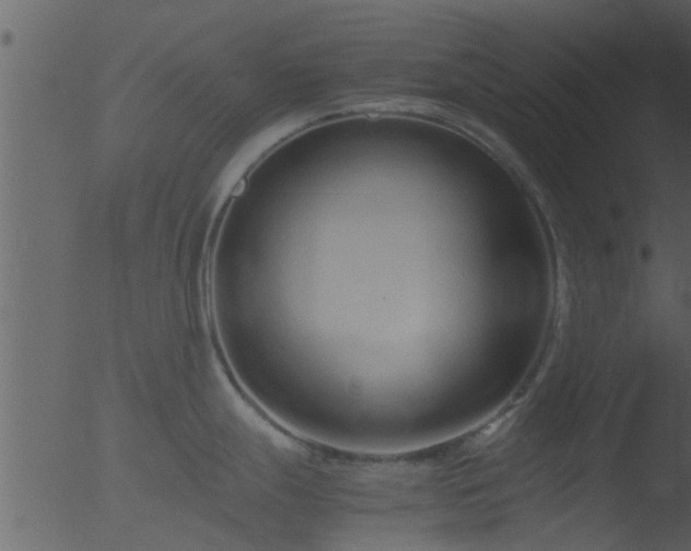 X0000053071247200507181618