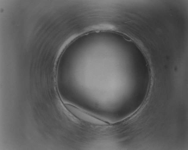 X0000053071248200507181618