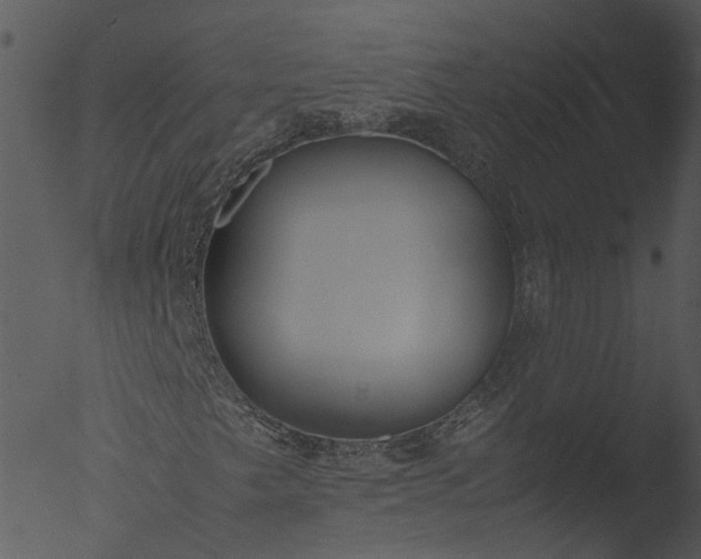 X0000053071249200507181617