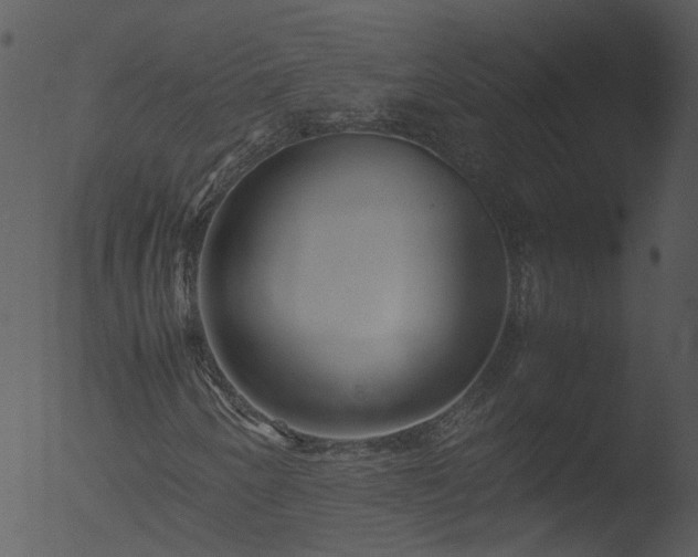 X0000053071250200507181617