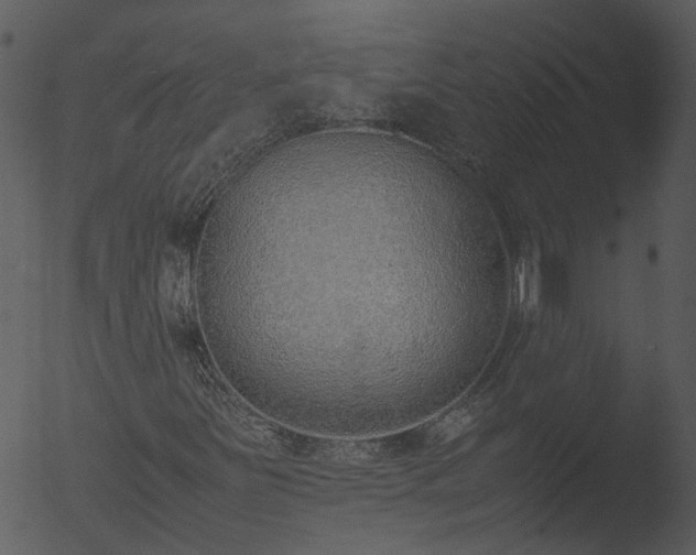 X0000053071251200507181617