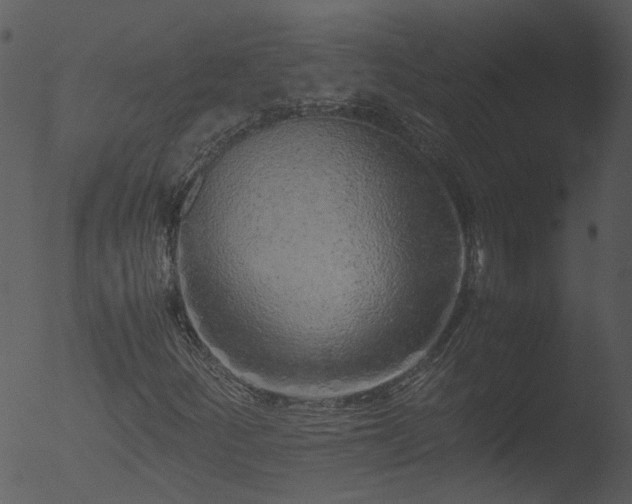 X0000053071252200507181617