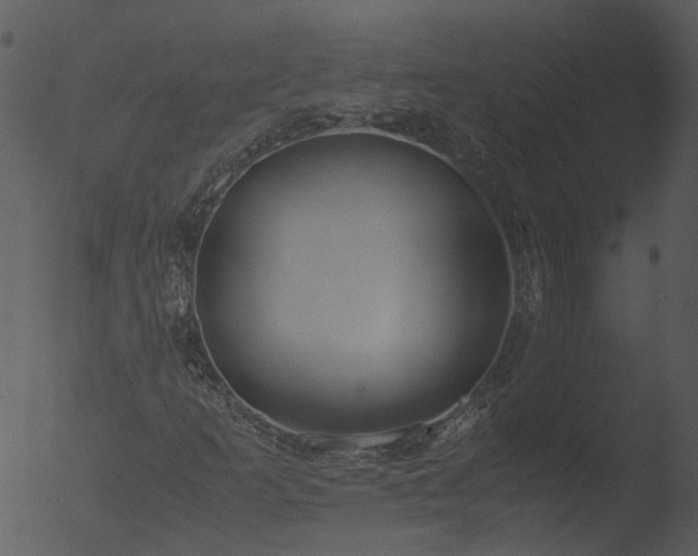 X0000053071253200507181617