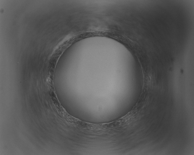 X0000053071254200507181617