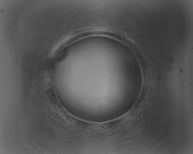 X0000053071255200507181617