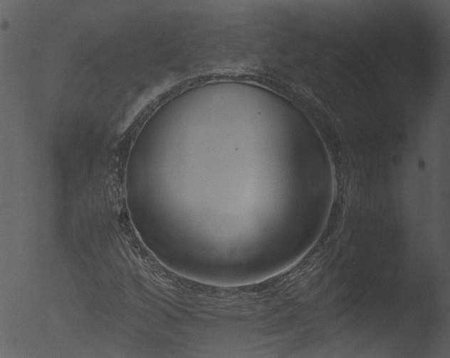 X0000053071256200507181617