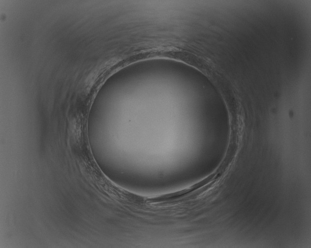 X0000053071257200507181617