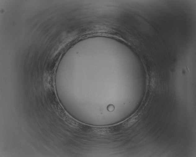 X0000053071258200507181617