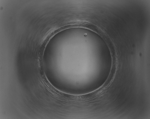 X0000053071259200507181617