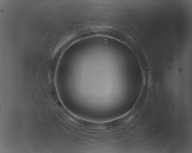 X0000053071261200507181617