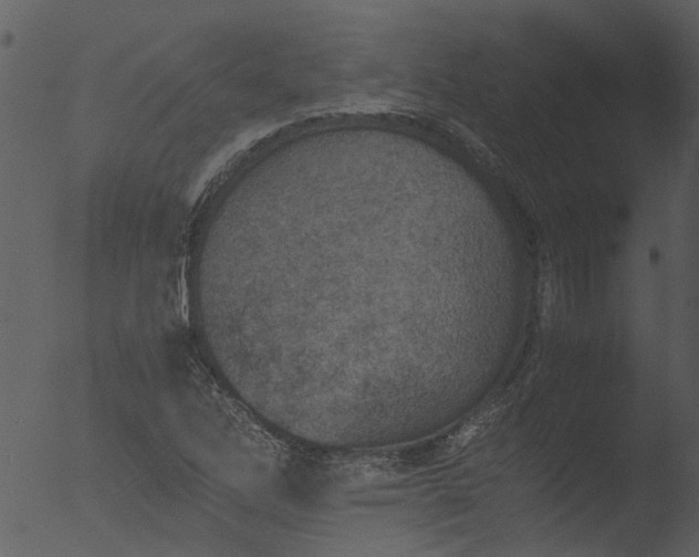 X0000053071262200507181617