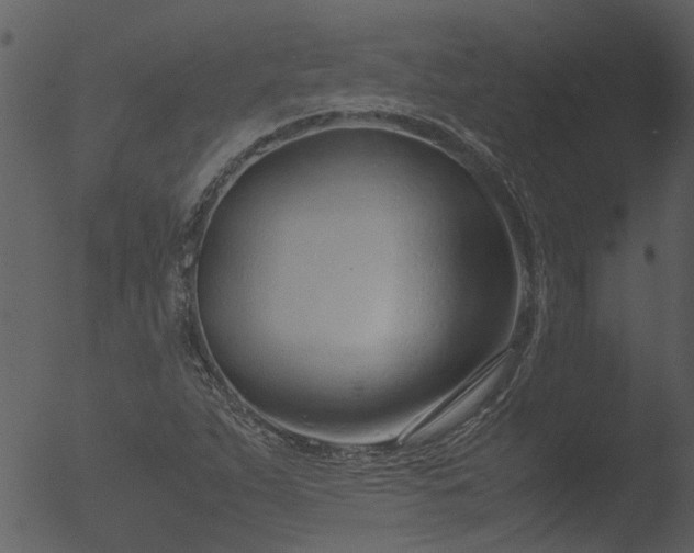 X0000053071263200507181617