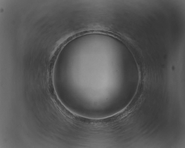 X0000053071264200507181617