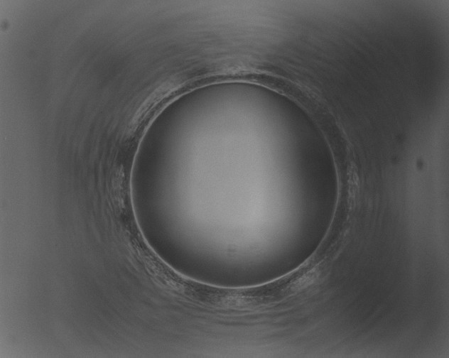 X0000053071265200507181617