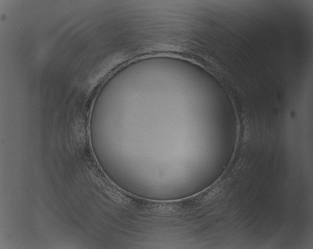 X0000053071266200507181617