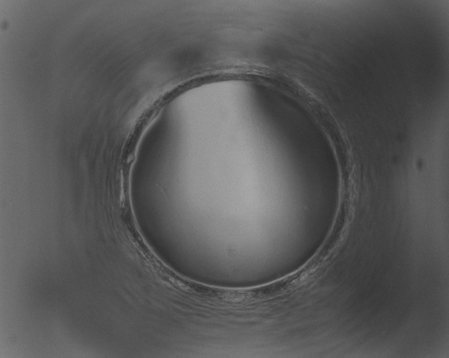 X0000053071267200507181617