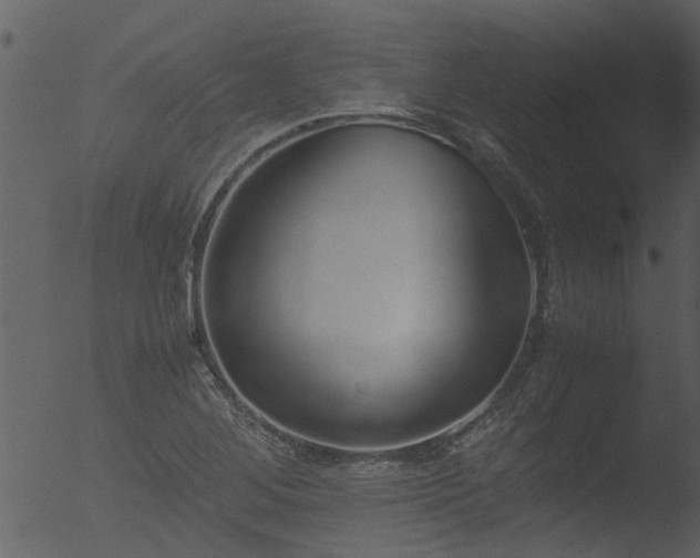 X0000053071268200507181617