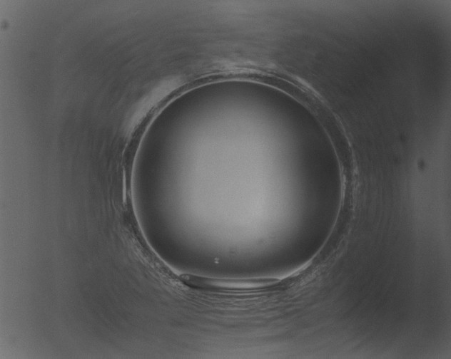 X0000053071269200507181617