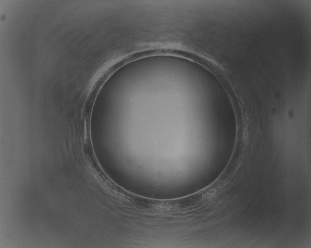 X0000053071271200507181617