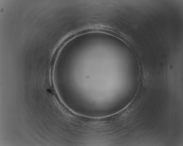 X0000053071272200507181617