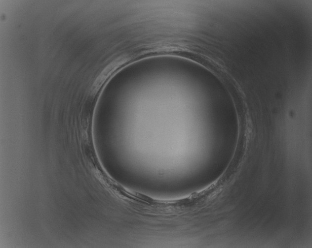 X0000053071273200507181617