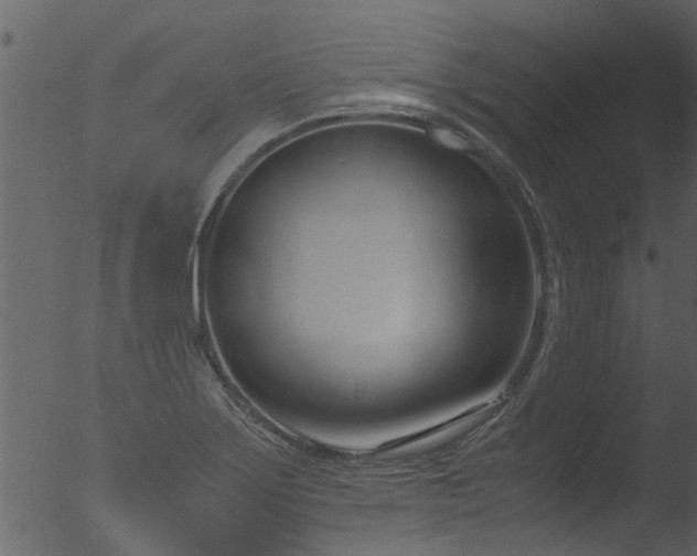 X0000053071275200507181617