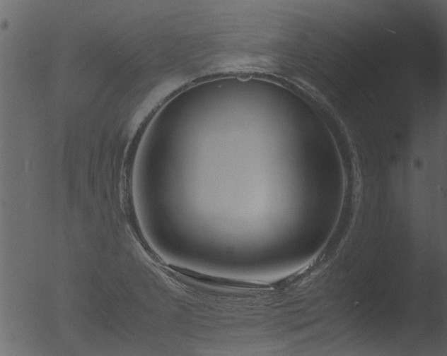 X0000053071277200507181617